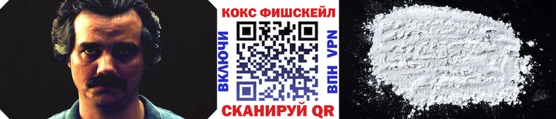 Купить где  Вязники  COCAIN Fish Scale 