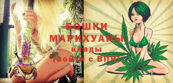 гидропоника Бородино