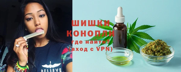 гидропоника Бородино
