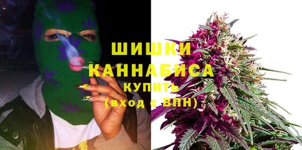 гидропоника Бородино