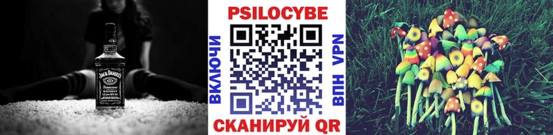Купить закладки  Вязники  Галлюциногенные грибы Cubensis 
