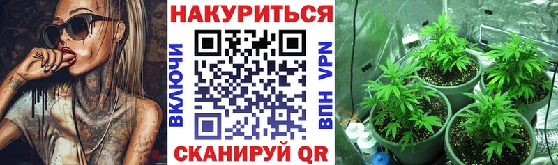 Шишки марихуана OG Kush  Купить закладки  Вязники 